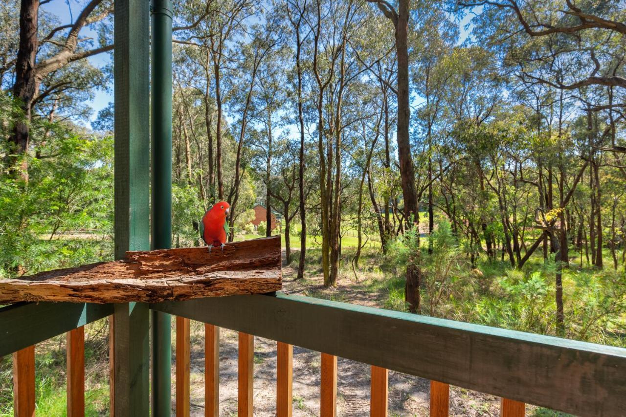 Cockatoo Cottages Екстериор снимка
